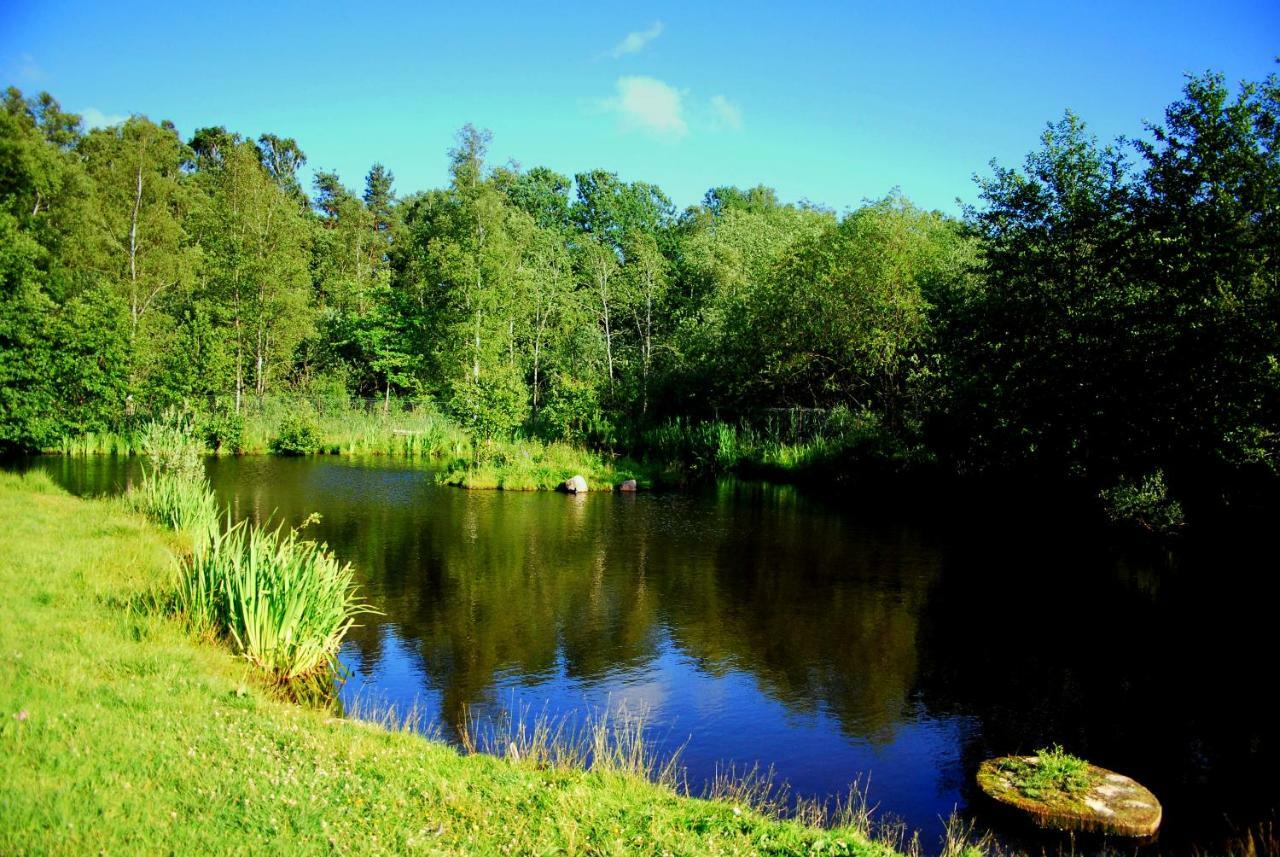 Sielanka - Domki I Pokoje Pod Leba Zarnowska Esterno foto